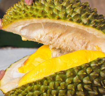 ��������èɽ������2.6-7������������