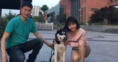 重庆训狗训犬基地宠物训练学校 重庆训狗训犬基地宠物训练学校