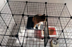 ����������񣬿�����Ҳ��ɢ�����۸�ͣ������